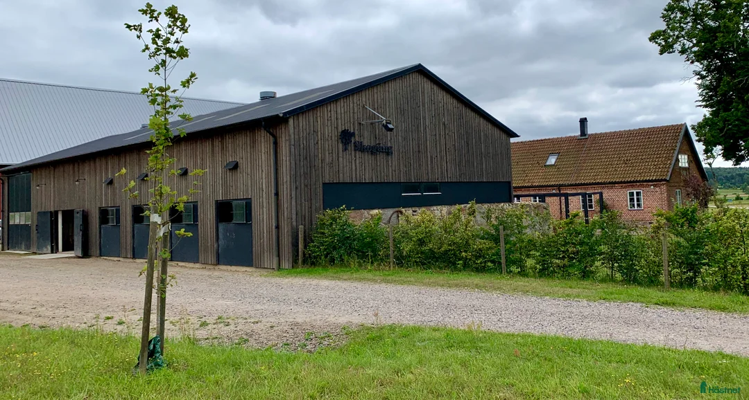 Galleribild {{count}}