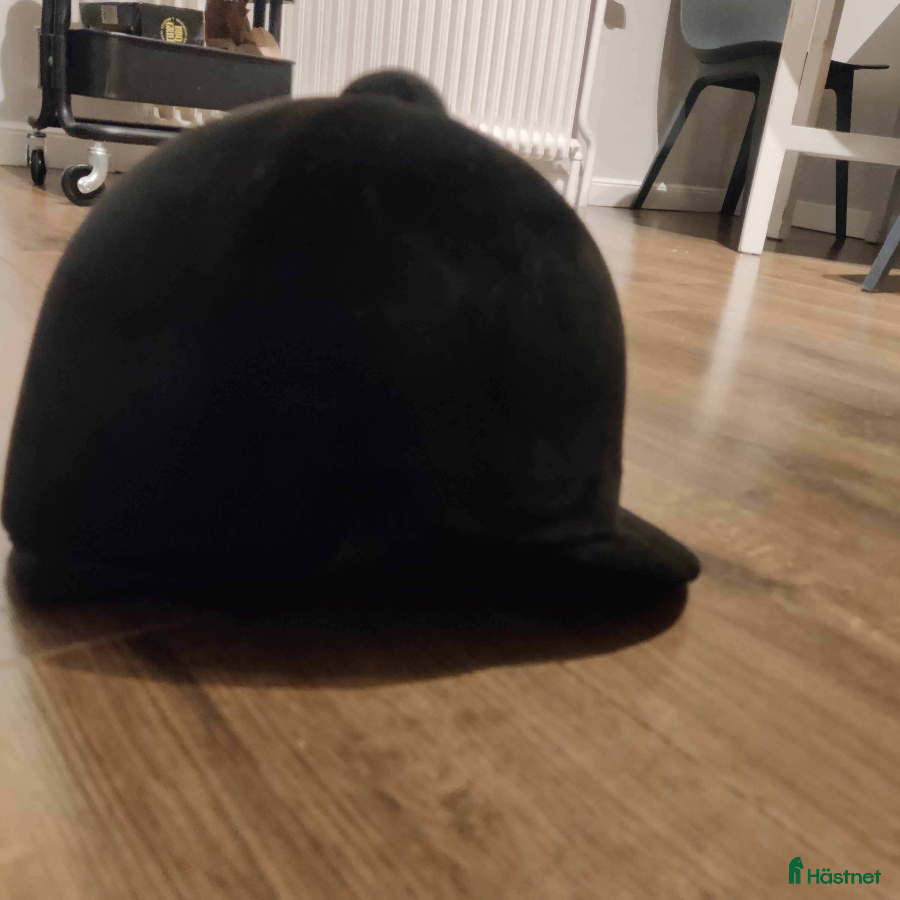 Hjälmar ryttarutrustning till salu: Ridhjälm i Järpen - Annons 16