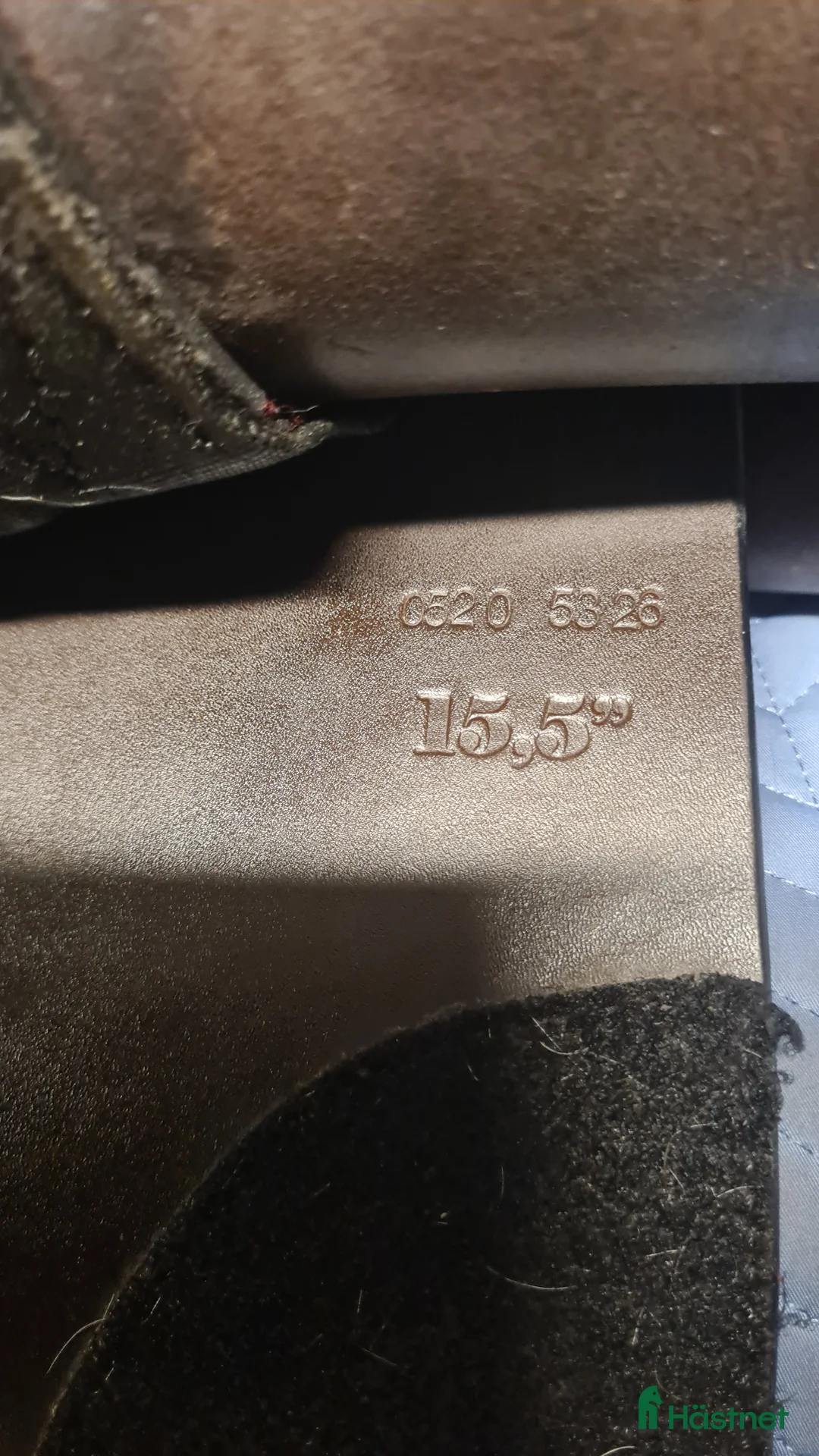 Sadlar hästutrustning till salu: Santa Cruz Celine - Annons 2