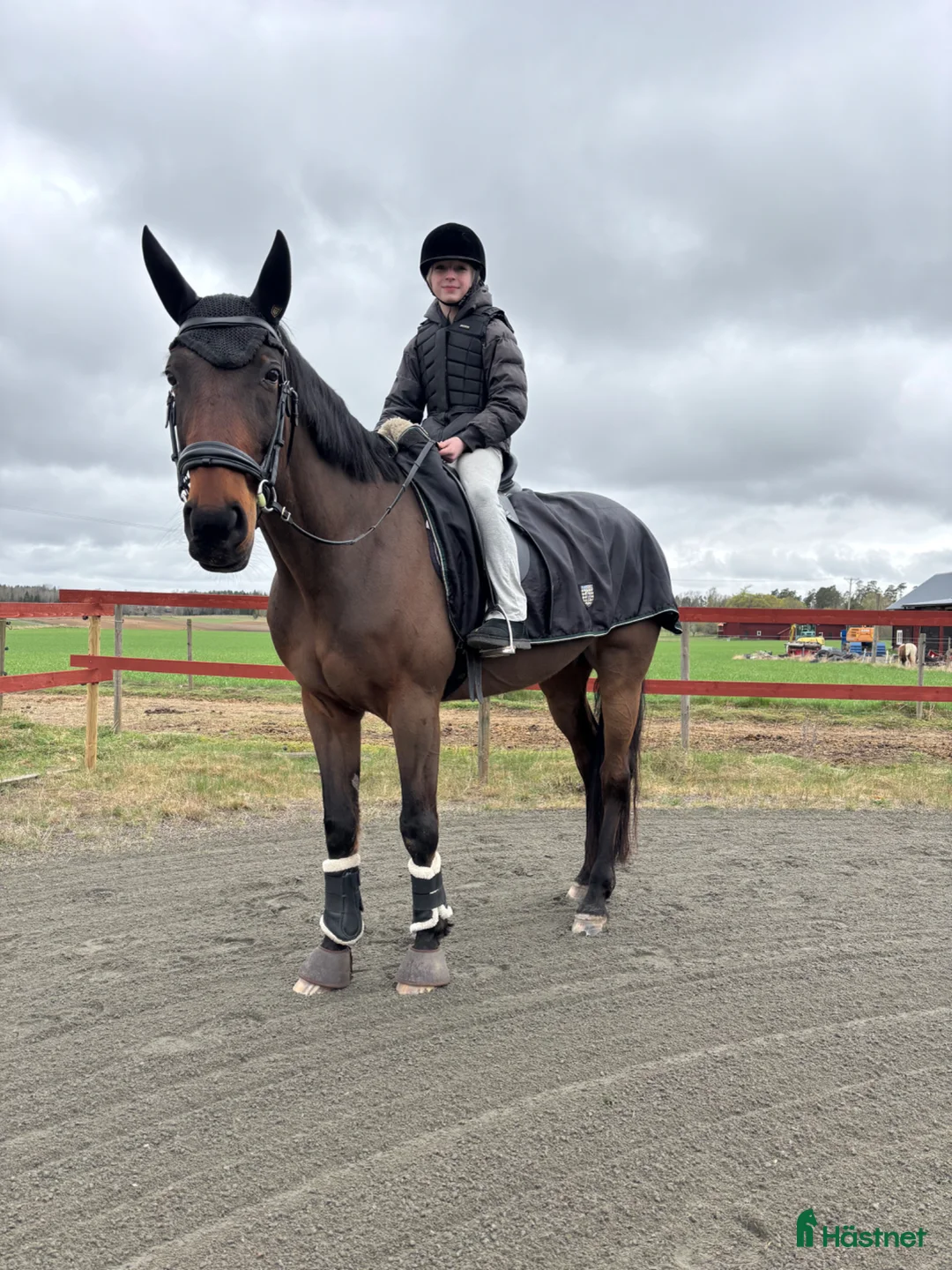 Allround hästar till salu: Min diamant❤️ i Finspång - Annons 2