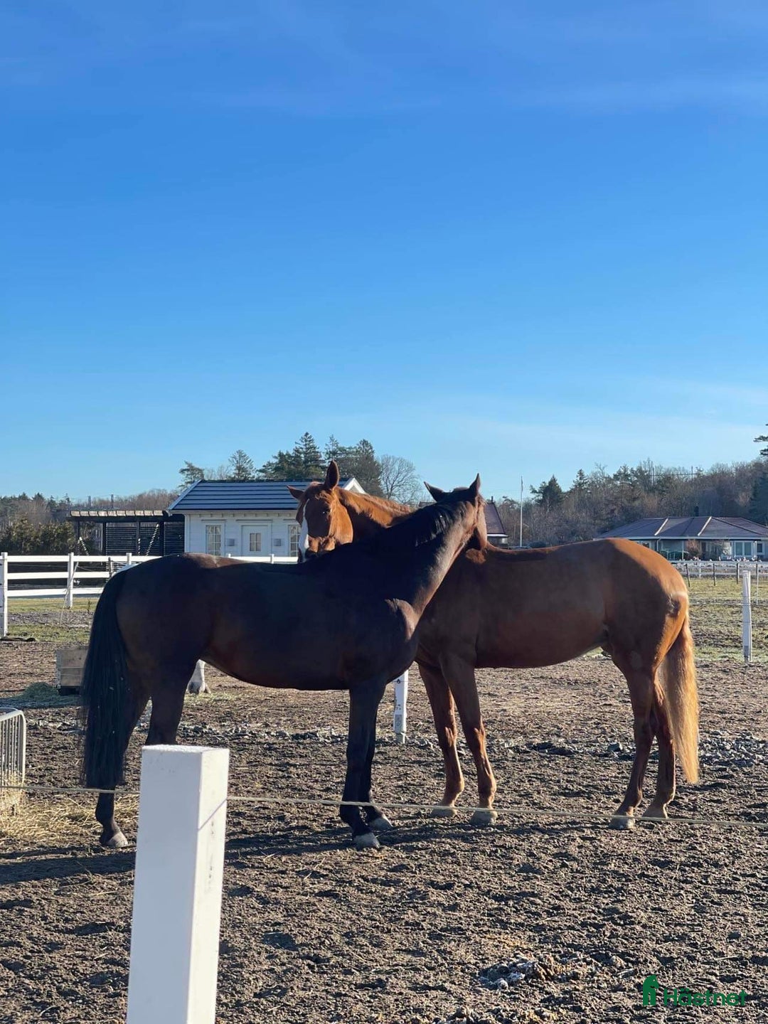  stallplats finnes: 1 eller 2 helinackoderingsplatser erbjudes i Vallda - Annons 6