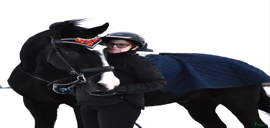 Galleribild {{count}}