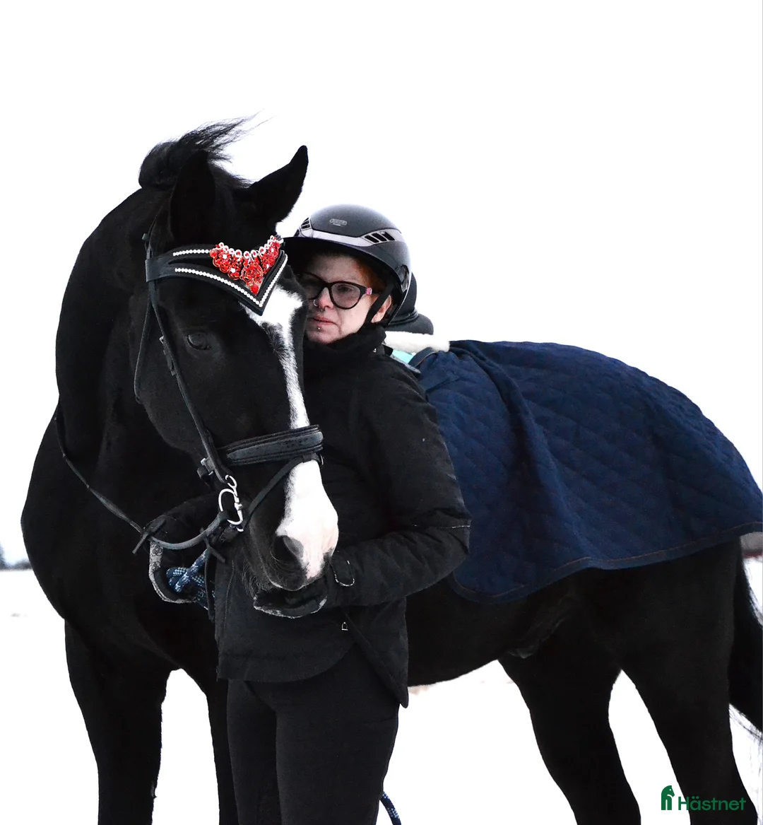 Galleribild {{count}}