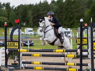 hästar Härlig ponny OBS! Nytt pris. i Filipstad - Annons 5