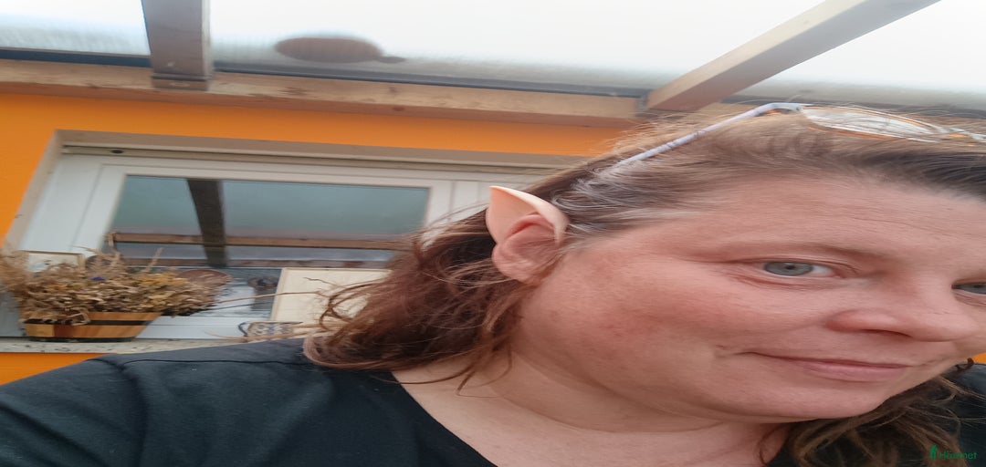 Galleribild {{count}}