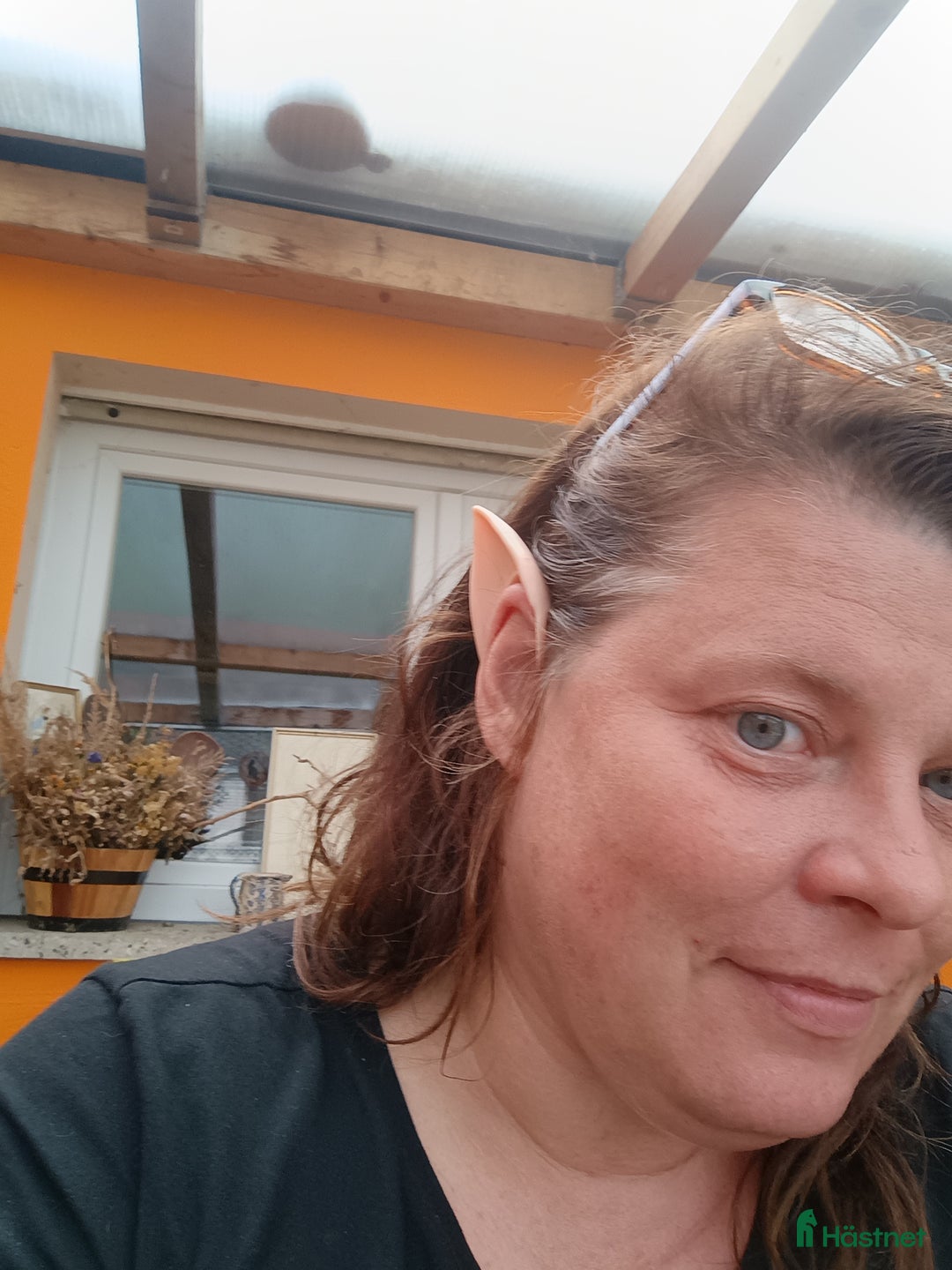 Galleribild {{count}}