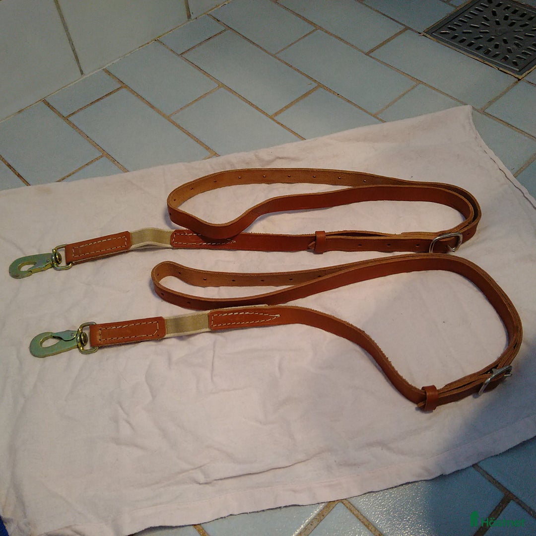 Övrig Hästutrustning hästutrustning till salu: Inspänningstyglar läder i Sollentuna - Annons 1