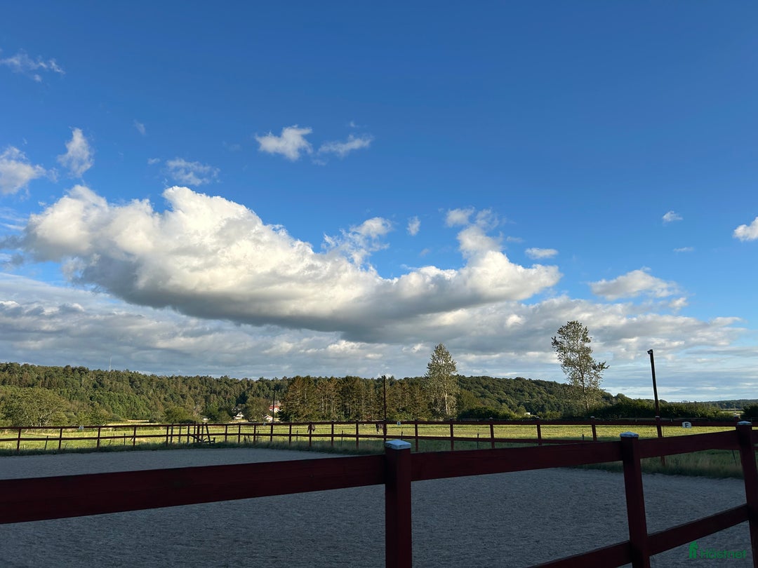  stallplats finnes: Stallplats Kungsbacka  i Kungsbacka - Annons 3