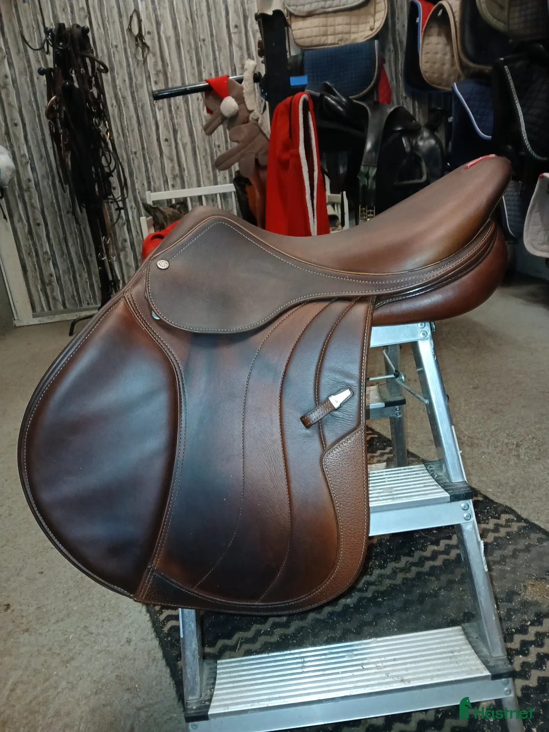 Sadlar hästutrustning till salu: Equipe Allegra  i Ramsele - Annons 2