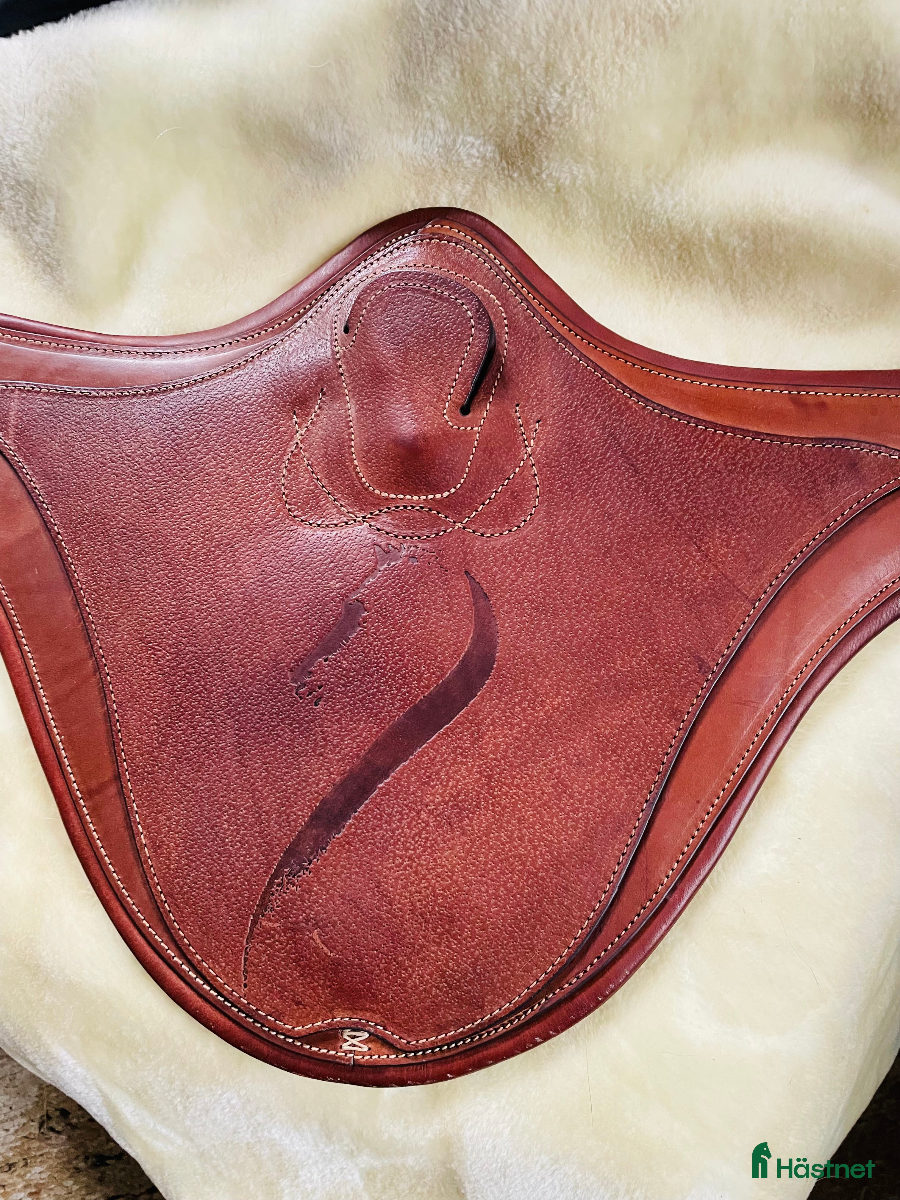 Sadeltillbehör hästutrustning Ny Antares Magplatta! i Klippan - Annons 7