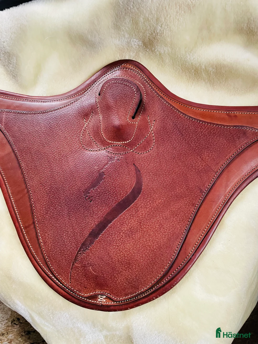 Sadeltillbehör hästutrustning till salu: Ny Antares Magplatta! i Klippan - Annons 1