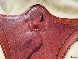 Sadeltillbehör hästutrustning Ny Antares Magplatta! i Klippan - Annons 7