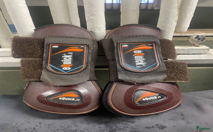 Benskydd hästutrustning till salu i Löddeköpinge - Annons 9