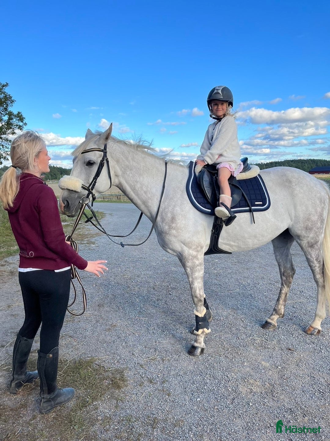 Hoppning hästar till salu: Maxad-D ponny Salu - Annons 4