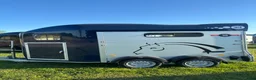 Hästtransporter  fordon & transport till salu: Cheval GOLD3  - Annons 3