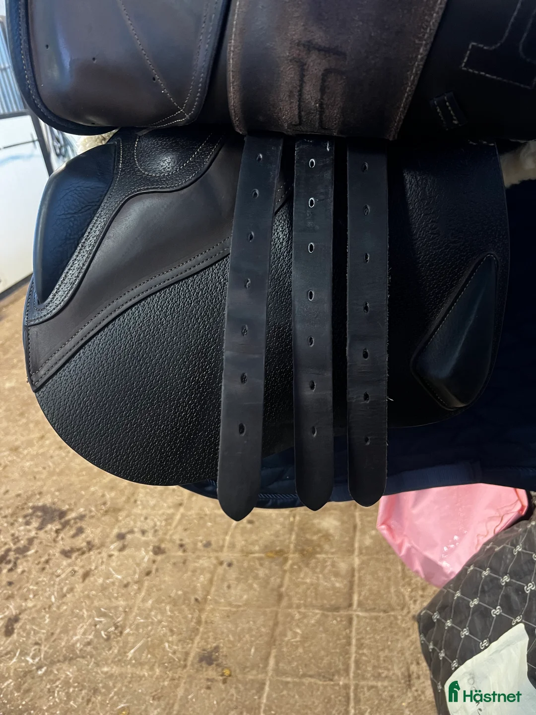 Sadlar hästutrustning till salu: evolution line - Annons 4