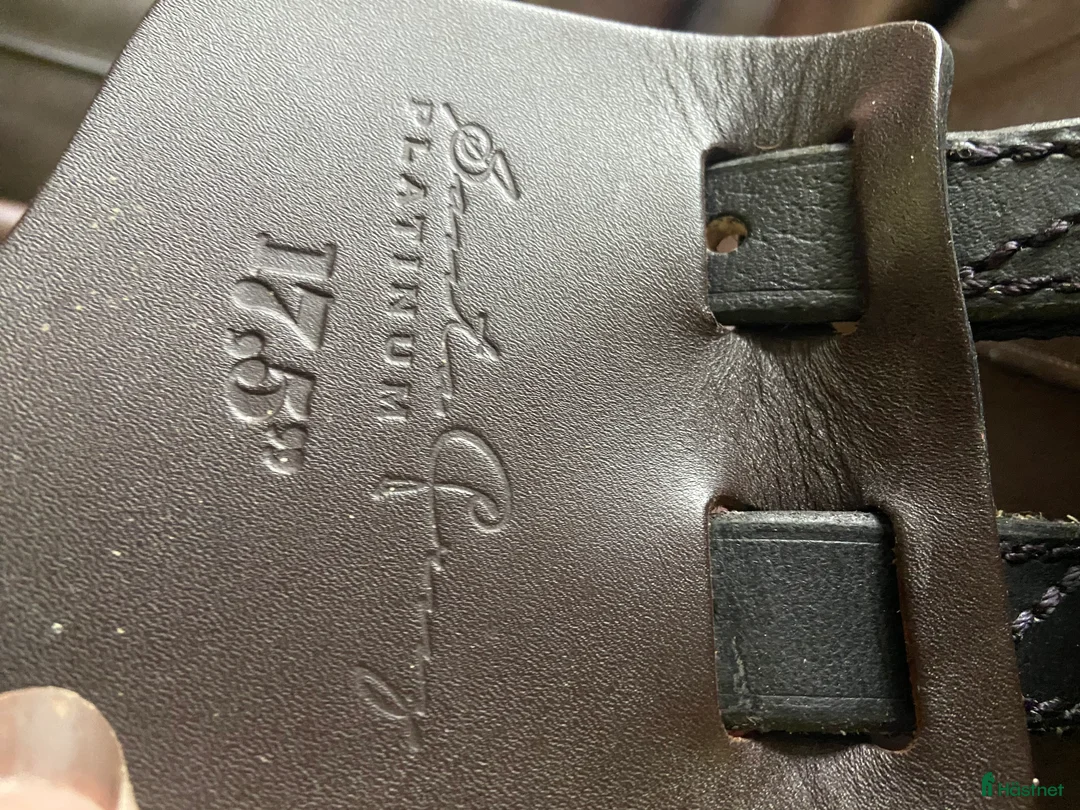 Sadlar hästutrustning till salu: Santa Cruz Leopold 17,5 i Blentarp - Annons 3