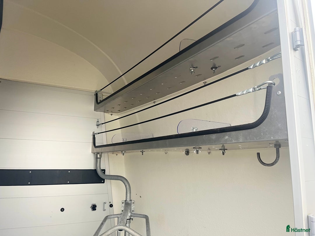 Hästtransporter  fordon & transport till salu: Böckmann Big Portax i Klippan - Annons 6