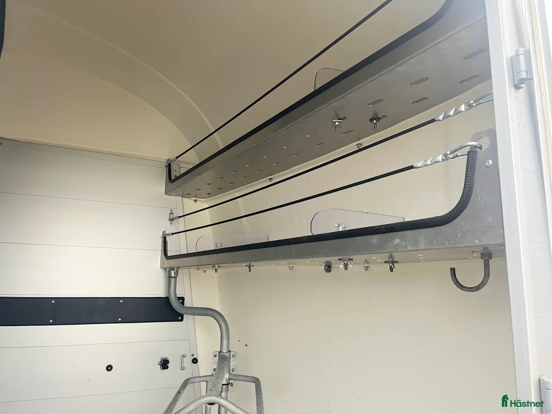 Hästtransporter  fordon & transport till salu: Böckmann Big Portax i Klippan - Annons 6