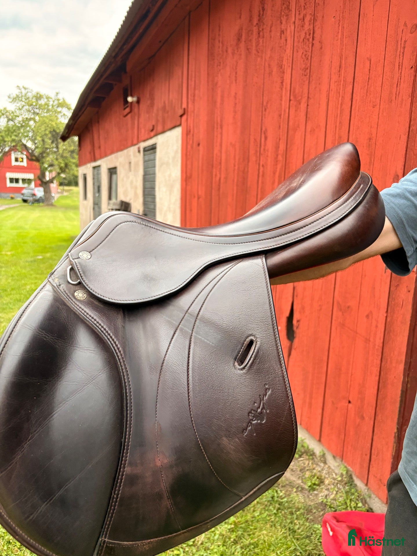 Sadlar hästutrustning Equipe Linnea 17’ - Annons 18