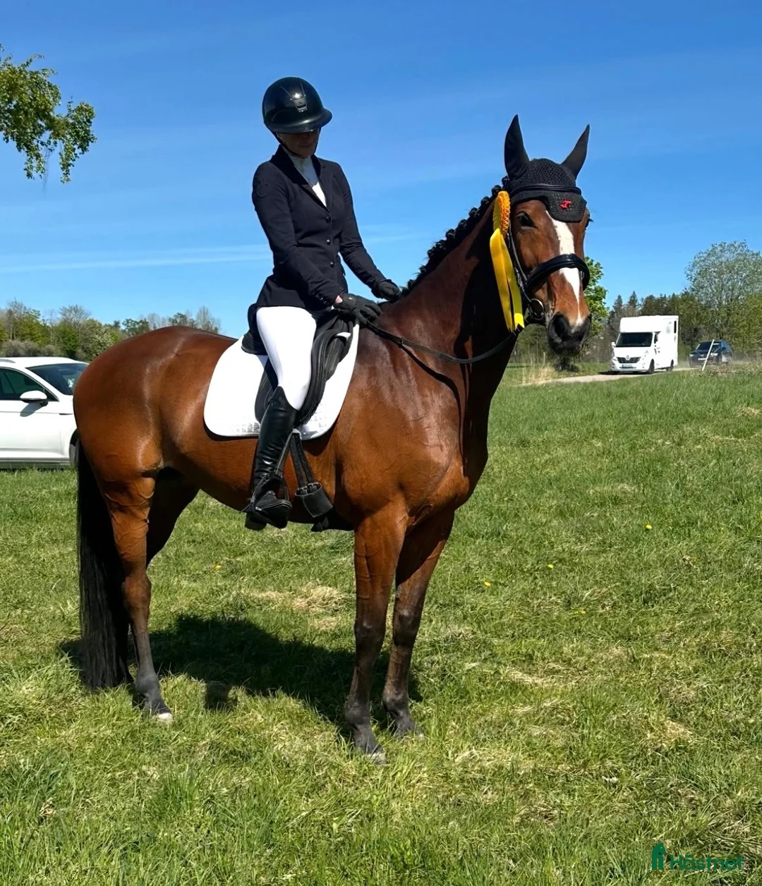 Dressyr hästar till salu: Trevligt sto med utstrålning i Filipstad - Annons 2