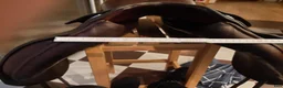 Sadlar hästutrustning till salu: Passier Optimum Dressyrsadel i bra skick - Annons 6