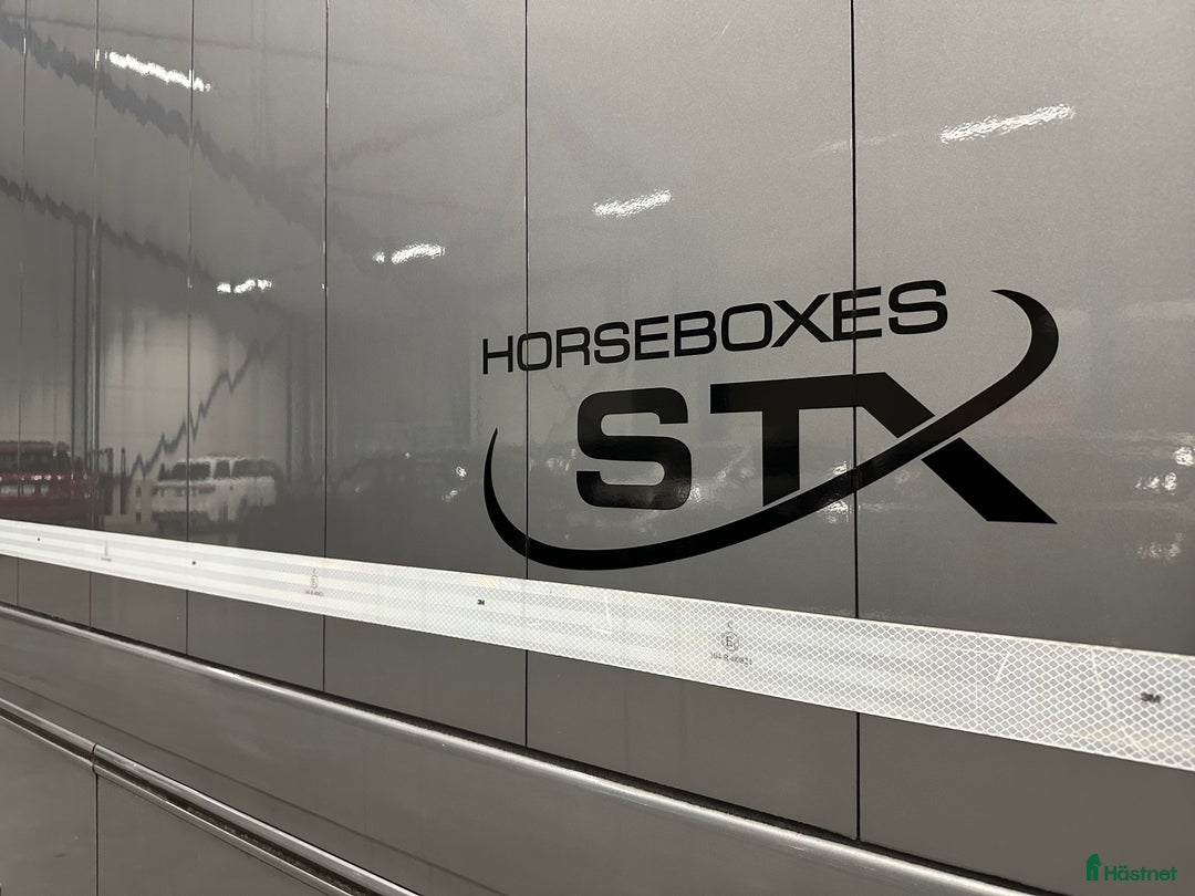 Hästlastbilar  fordon & transport till salu: Scania Stephex STX S500 Hästlastbil / Pop-X2 / i Eslöv - Annons 9