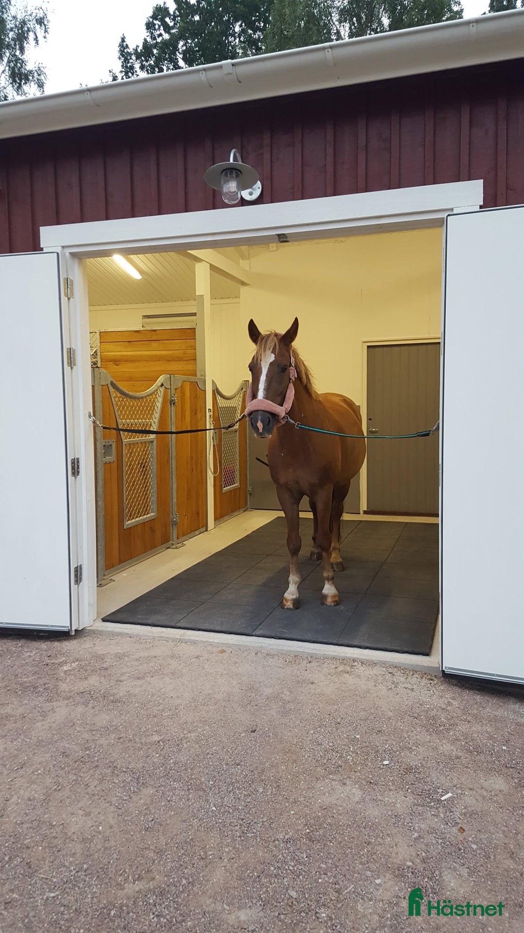  stallplats finnes: Stallplats finnes  i Arkelstorp - Annons 1