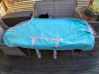 Täcken hästutrustning till salu: Täcken 130-135 cm i Ljungbyholm - Annons 2