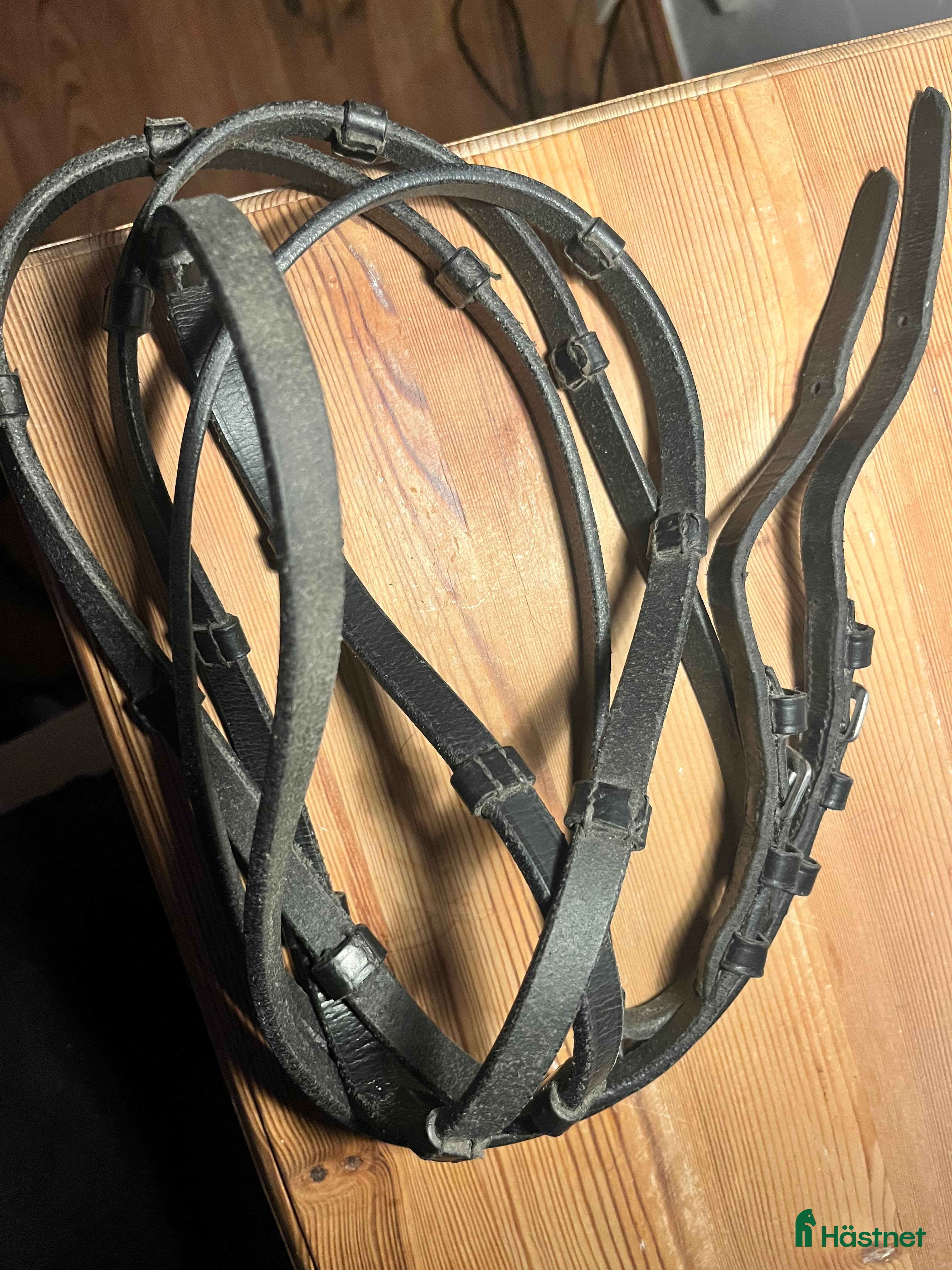 Övrig utrustning övrig utrustning till salu: Globus full svarta tunna tyglar  i Vallentuna - Annons 7