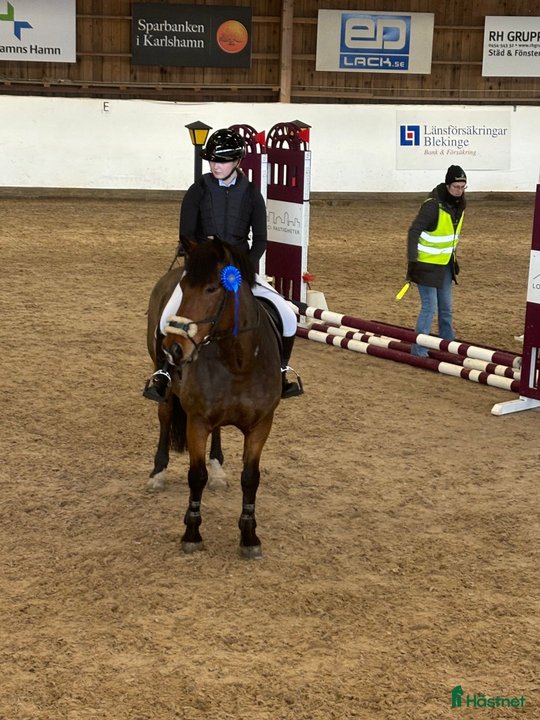 Allround hästar till salu: Bästa allroundponnyn/bästa kompisen  i Mörrum - Annons 8