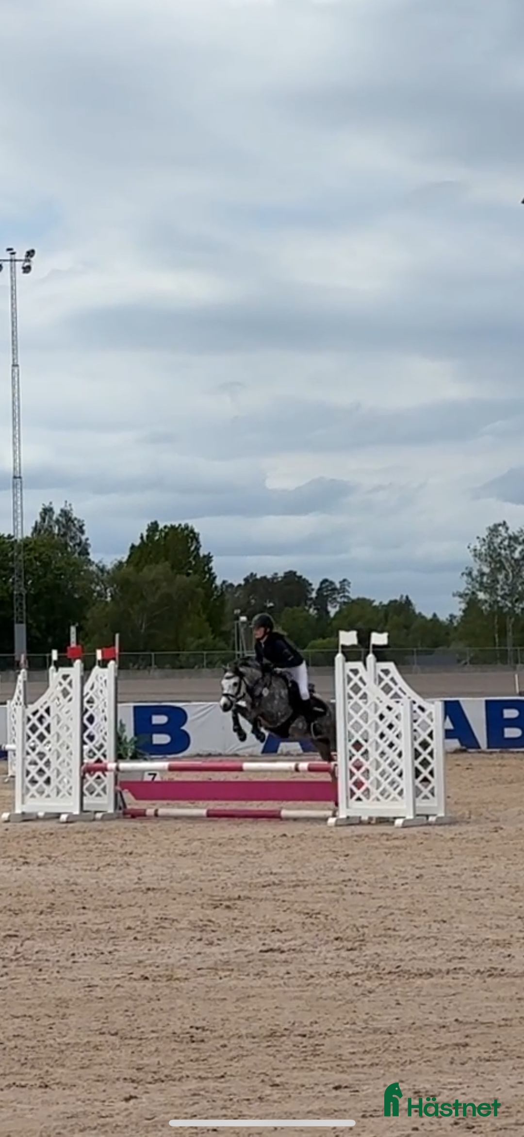Hoppning hästar till salu: Drömponny med kapacitet  i Björkvik - Annons 2