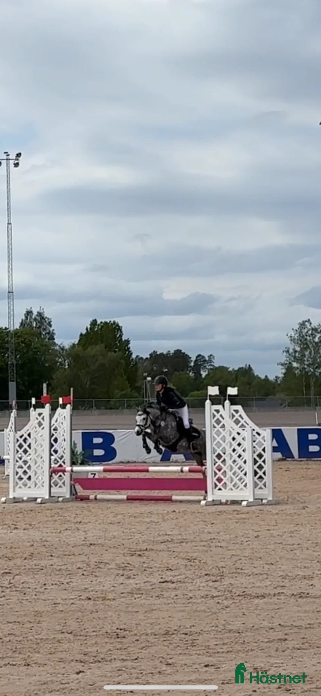 Hoppning hästar till salu: Drömponny med kapacitet  i Björkvik - Annons 2