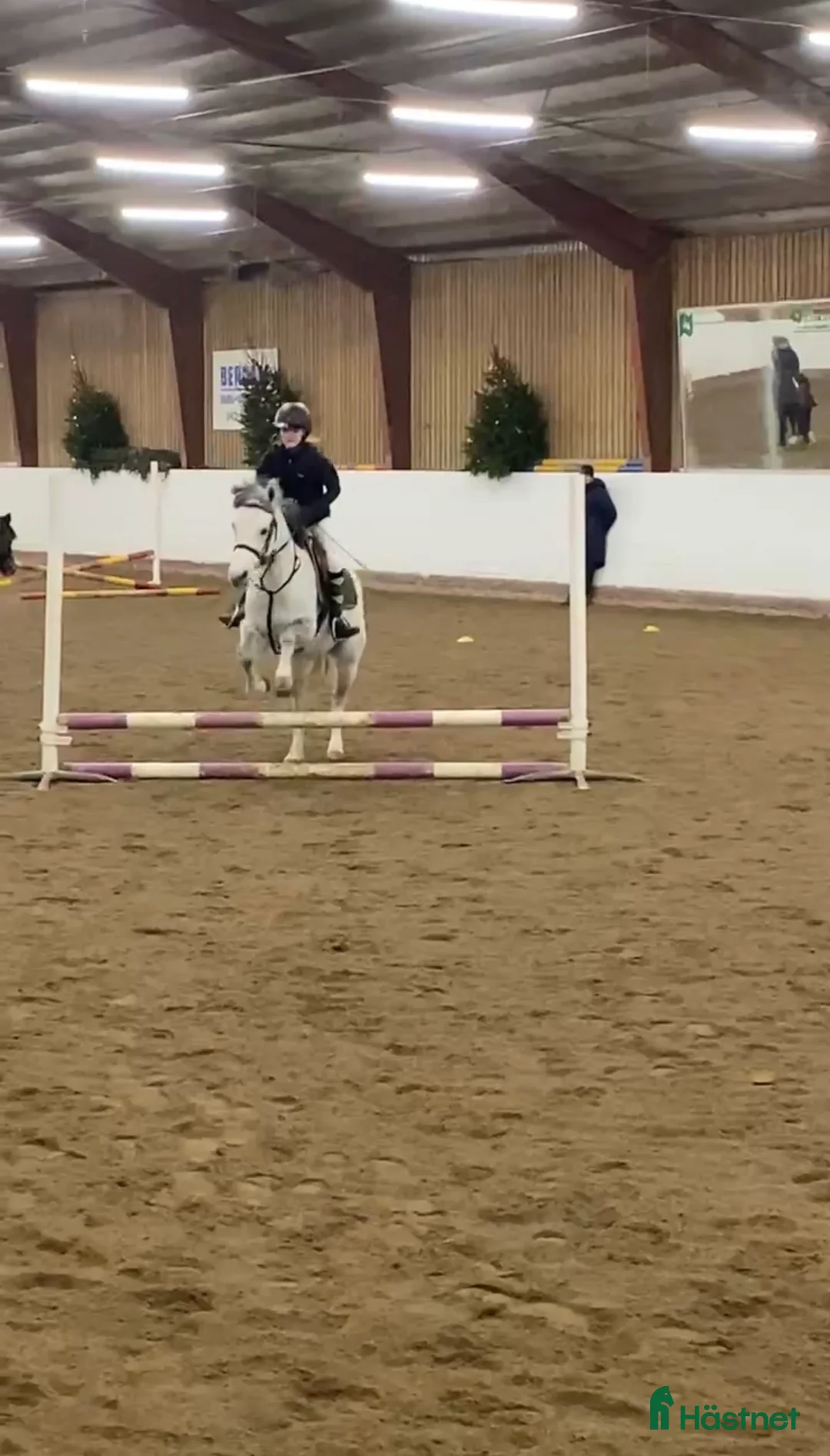 Övrigt hästar sökes: Medryttar häst sökes🐴 i Ödåkra - Annons 1