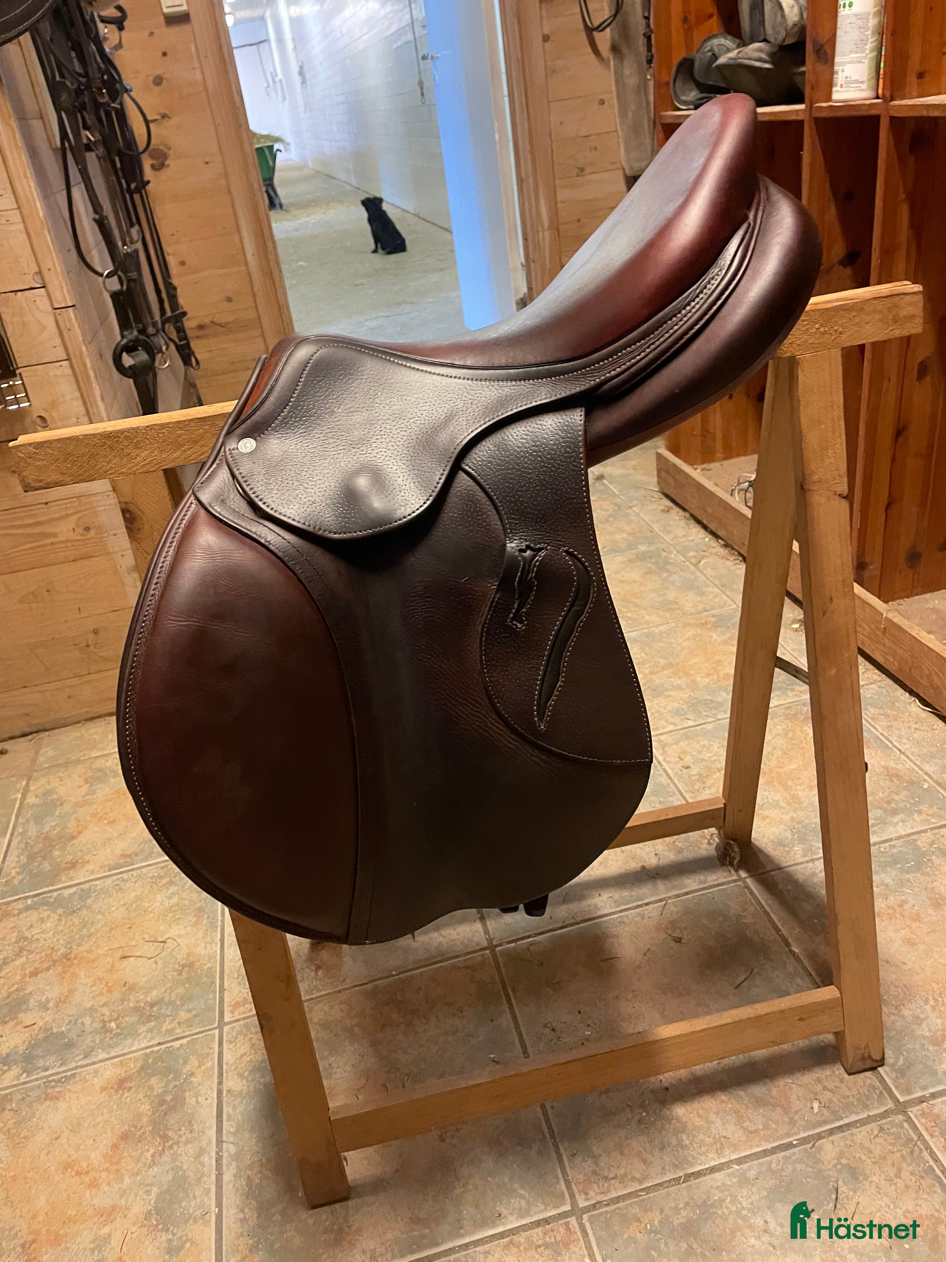 Sadlar hästutrustning Antares evolution sprang sal - Annons 13