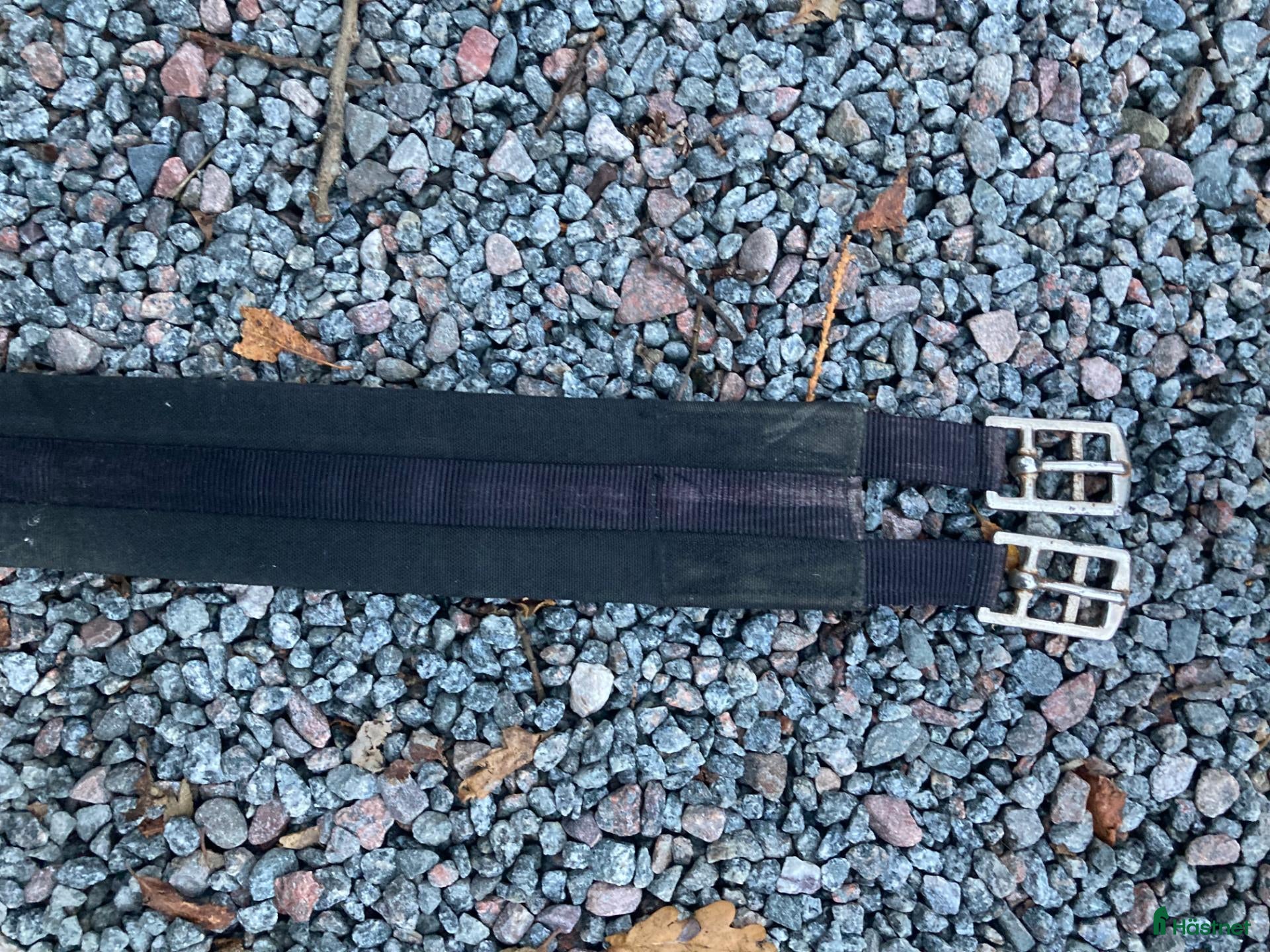 Sadeltillbehör hästutrustning till salu: Sadelgjord - Annons 7