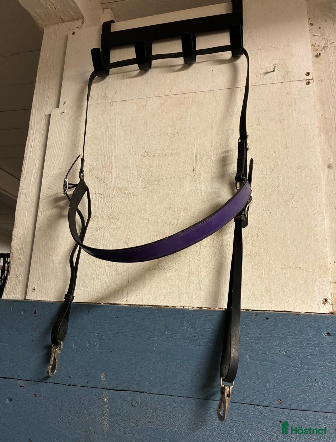 Övrig Travutrustning trav till salu: Wahlsten Brösta  - Annons 1