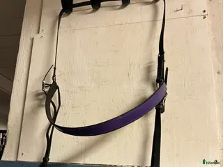 Övrig Travutrustning trav till salu: Wahlsten Brösta - Annons 1