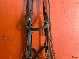 Övrig Hästutrustning hästutrustning till salu i Landskrona - Annons 1