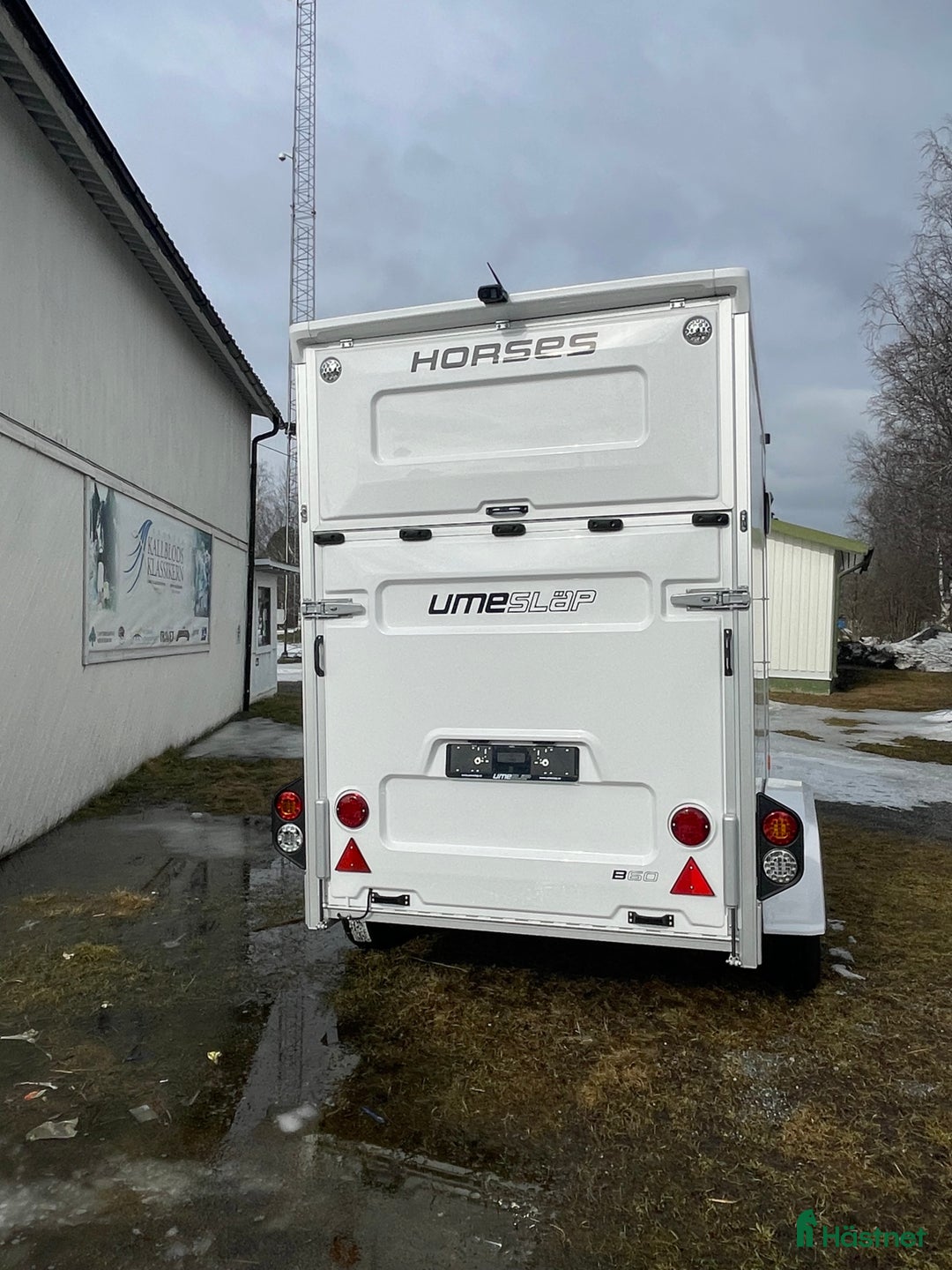 Hästtransporter  fordon & transport till salu: Umesläp B60 Demo i Östersund - Annons 9