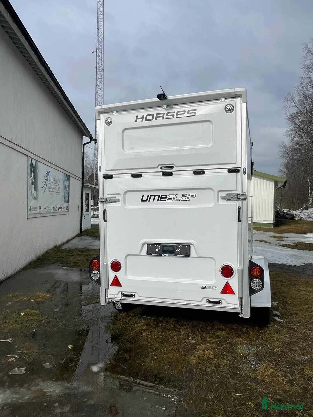 Hästtransporter  fordon & transport till salu: Umesläp B60 Demo - Annons 9