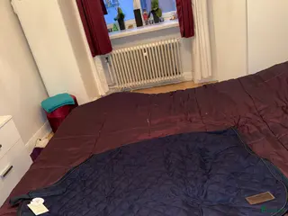 Täcken hästutrustning Nytt ländtäcke Kentucky i Stockholm - Annons 5