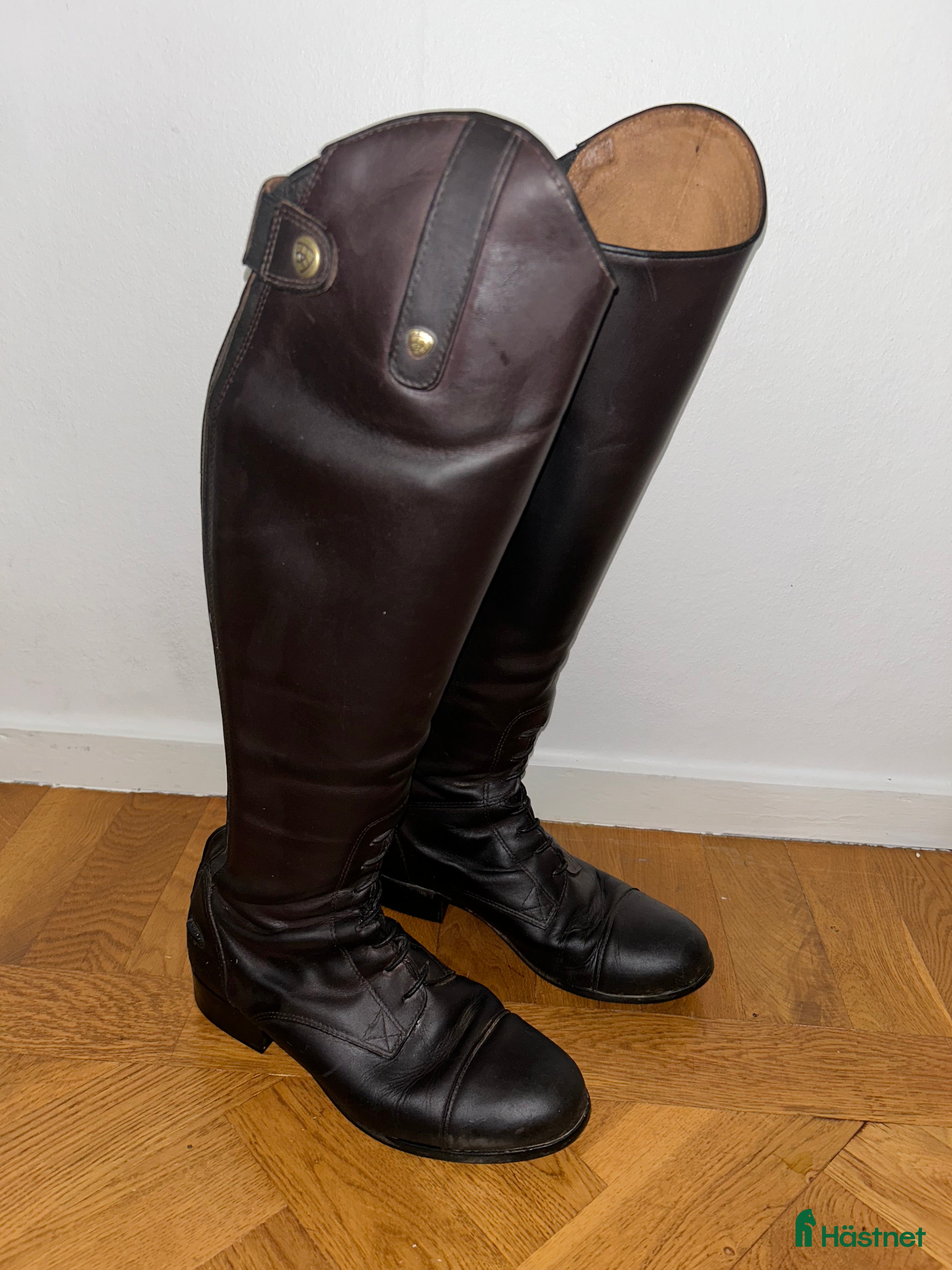 Ridstövlar ryttarutrustning till salu: Ariat stövlar  i Trollhättan - Annons 13