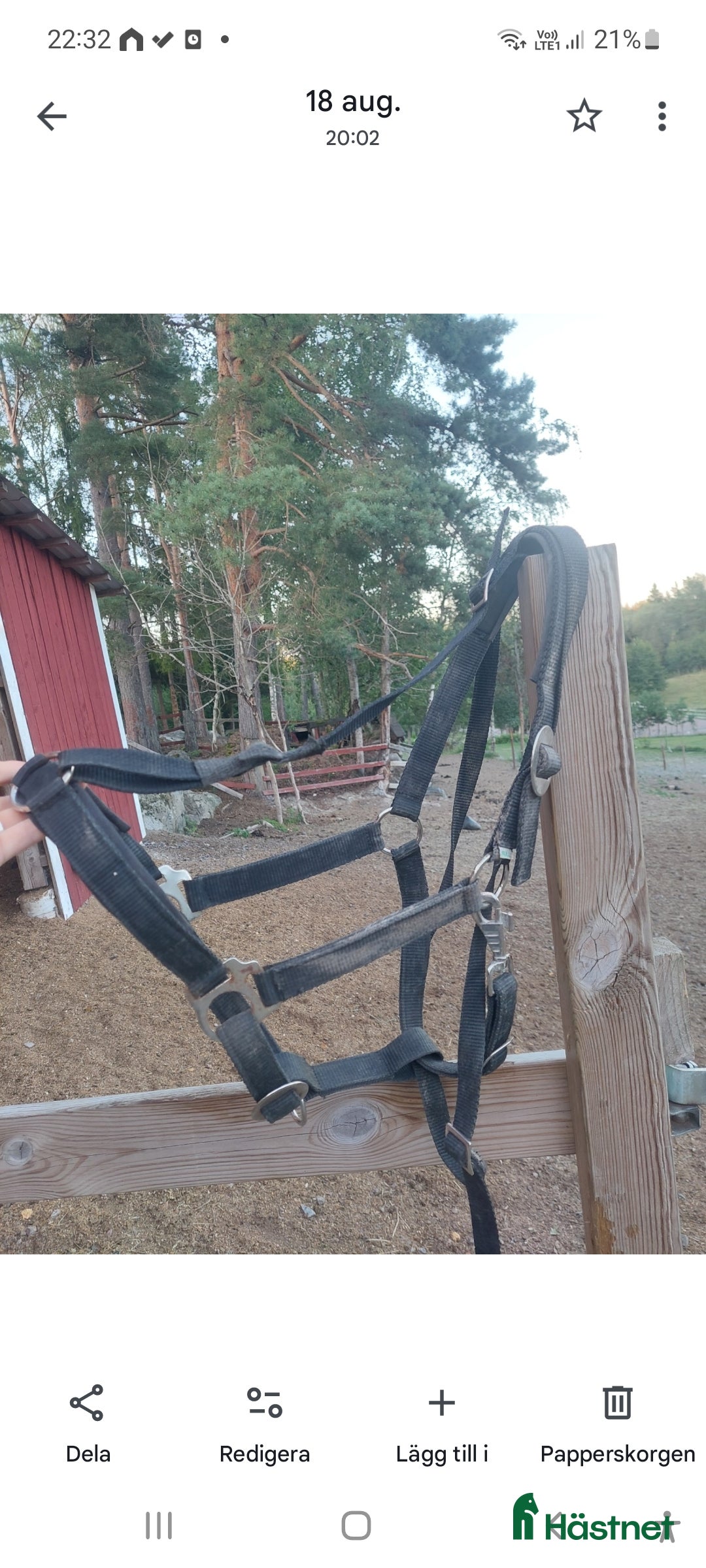 Övrig Hästutrustning hästutrustning till salu: Betesreducerare med grimma storlek full  i Gnesta - Annons 2