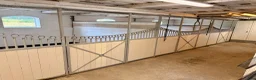  stallplats finnes: Ledig Stallplats  - Annons 3