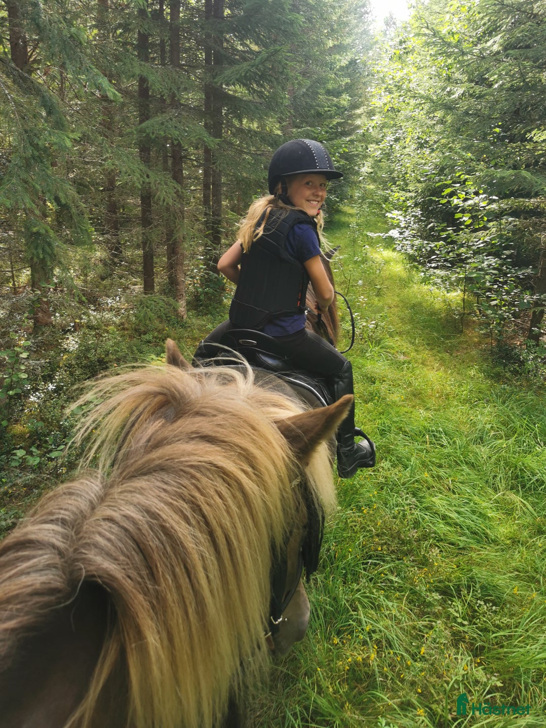Allround hästar sökes: Läromästare sökes  i Kilafors - Annons 5
