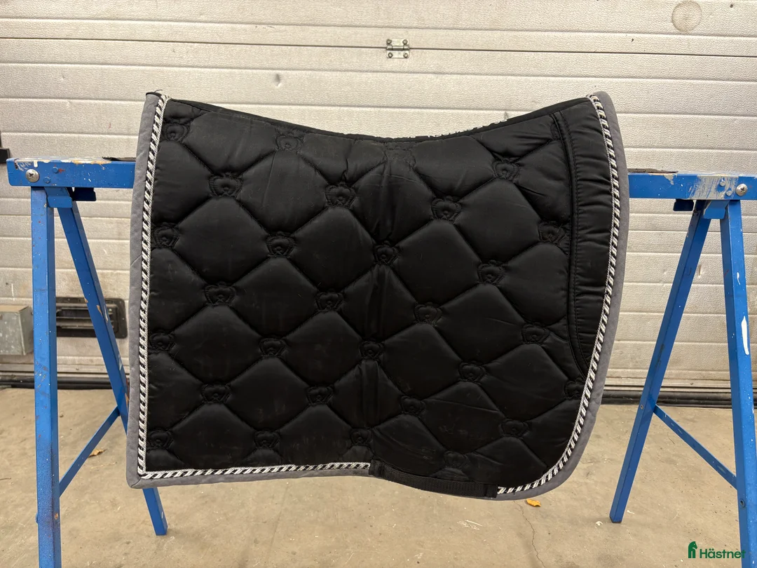 Sadeltillbehör hästutrustning till salu: Dressyrshabrak PS, ES och Mias (flera) - Annons 2