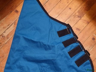 Täcken hästutrustning till salu: SÖKER HALSAR OCH TÄCKEN!! i Ödsmål - Annons 13