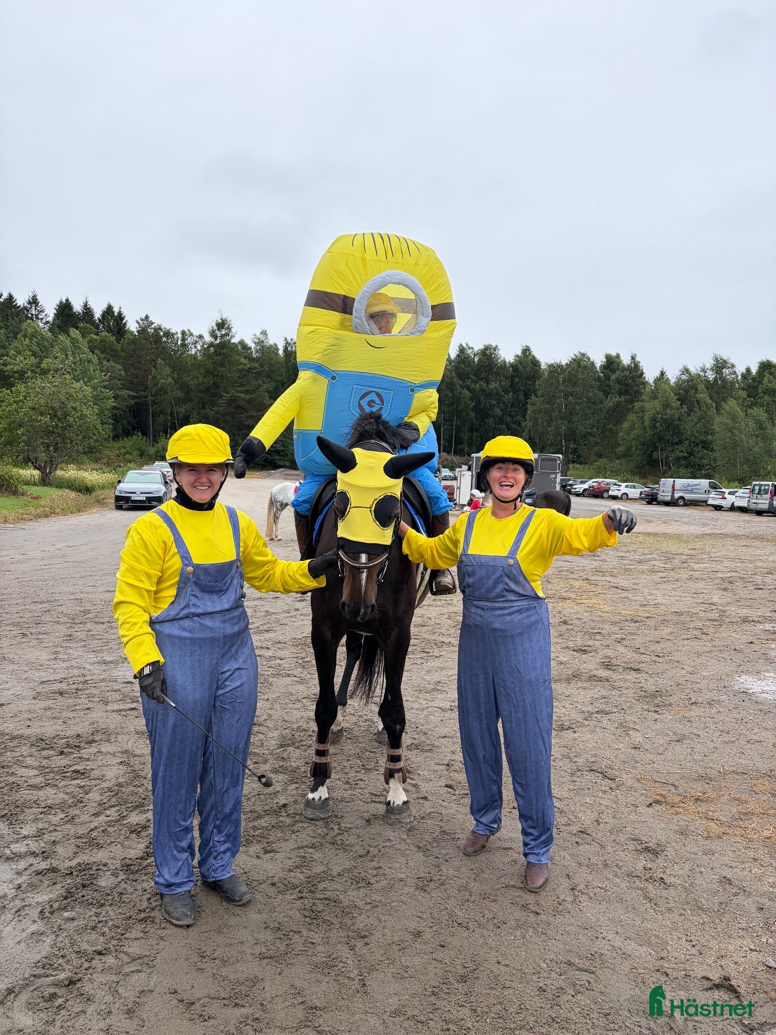  hästar Fantastiska Fluffan  - Annons 15