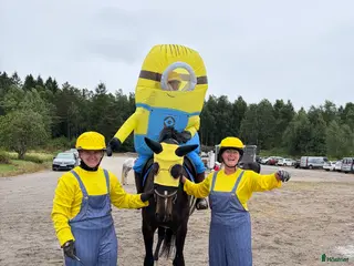 hästar Fantastiska Fluffan - Annons 15